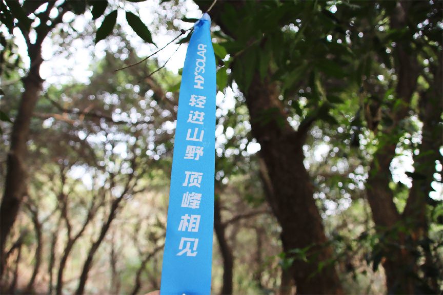 4943f8050e364d9c9a0a8478ea4394ad